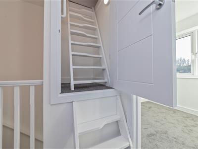 Picture 15